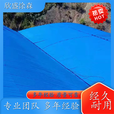四川欣盛涂森防水工程