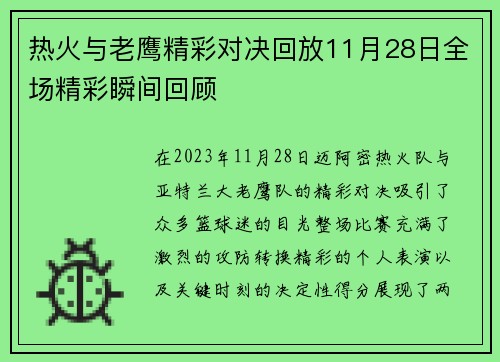 热火与老鹰精彩对决回放11月28日全场精彩瞬间回顾