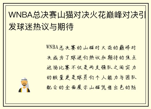 WNBA总决赛山猫对决火花巅峰对决引发球迷热议与期待