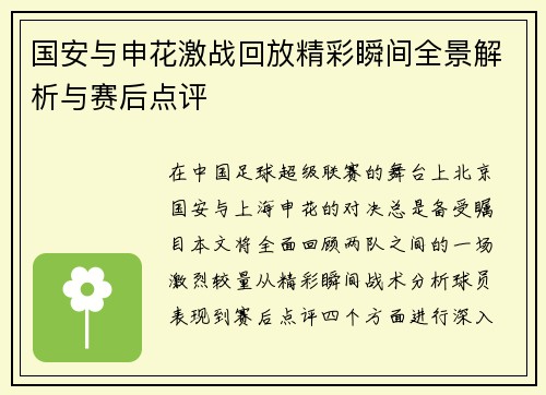 国安与申花激战回放精彩瞬间全景解析与赛后点评