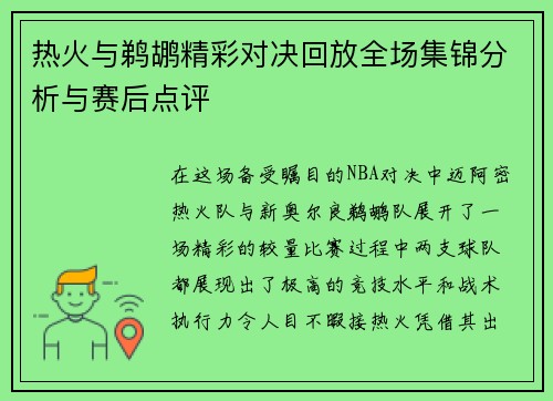 热火与鹈鹕精彩对决回放全场集锦分析与赛后点评