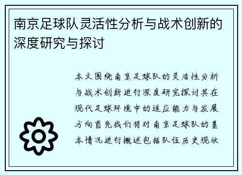 南京足球队灵活性分析与战术创新的深度研究与探讨