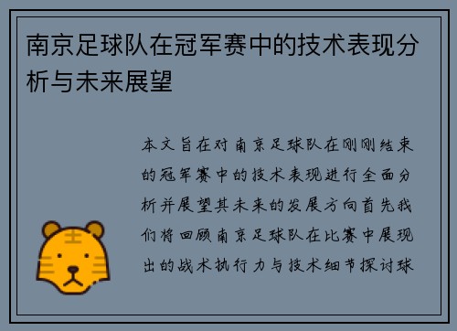 南京足球队在冠军赛中的技术表现分析与未来展望